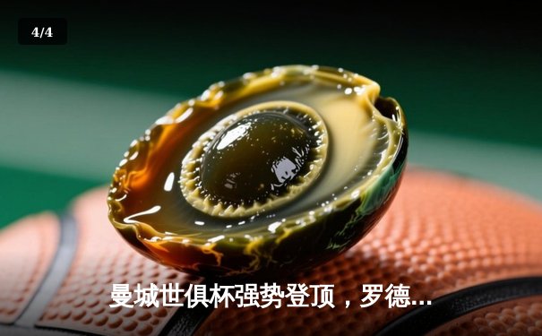 曼城世俱杯强势登顶，罗德里加时绝杀助蓝月亮首夺桂冠 - 4