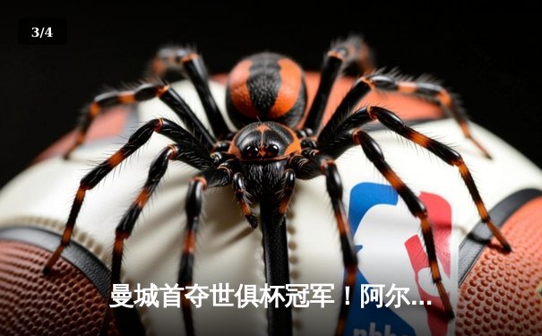 曼城首夺世俱杯冠军！阿尔瓦雷斯双响加冕王中王 - 3